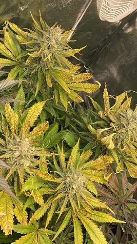 Growreport Bild 8