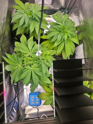 Growreport Bild 2