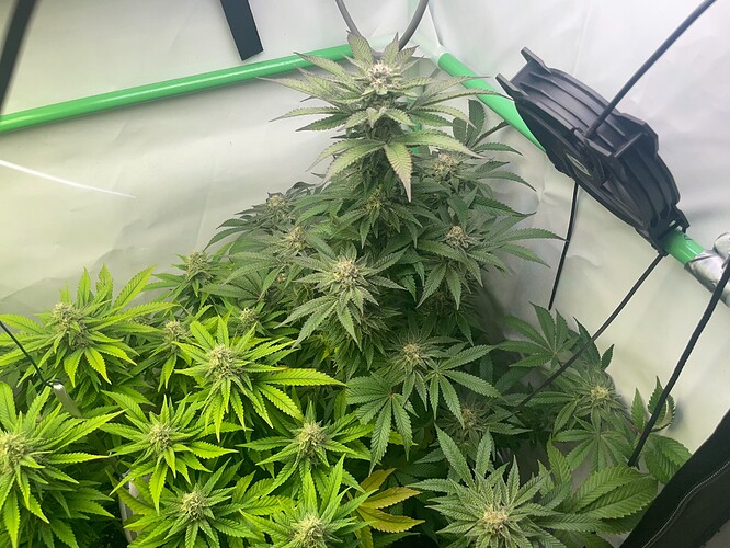 Growreport Bild 2