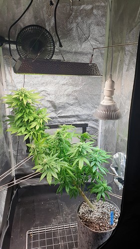 Growreport Bild 7