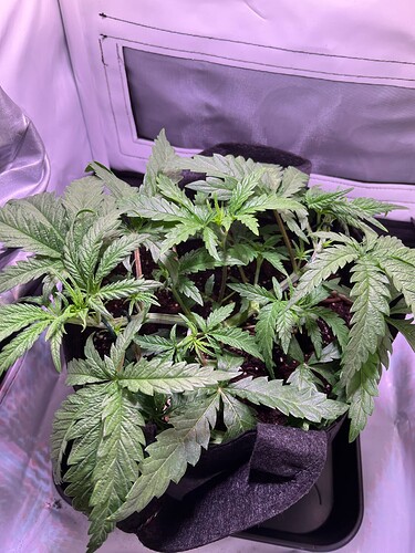 Growreport Bild 10