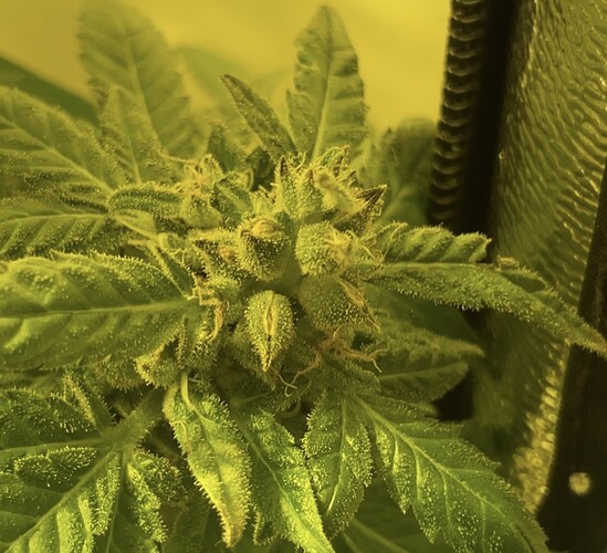 Growreport Bild 15