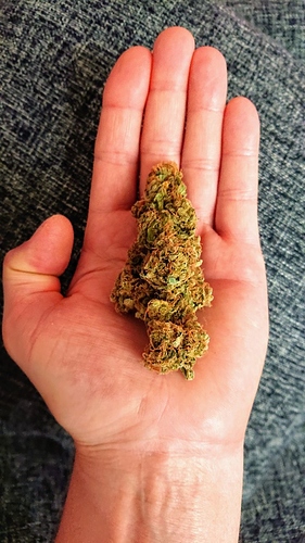 IMG_20201019_165827_513