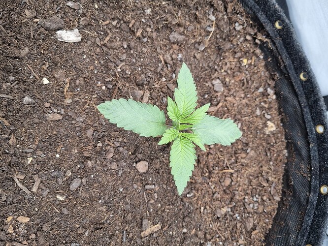 Growreport Bild 23