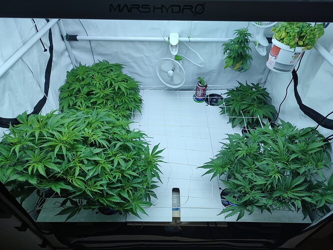 Growreport Bild 16