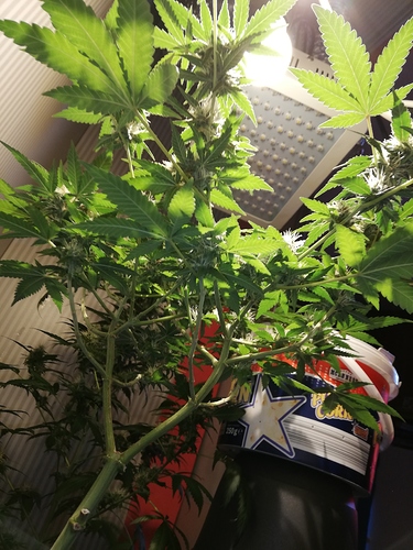 Growreport Bild 10