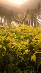 Growreport Bild 8