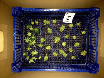Growreport Bild 20