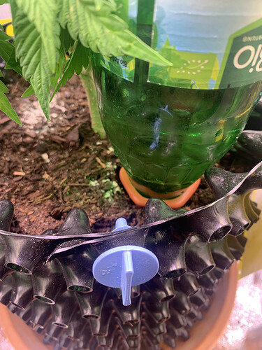 Growreport Bild 2