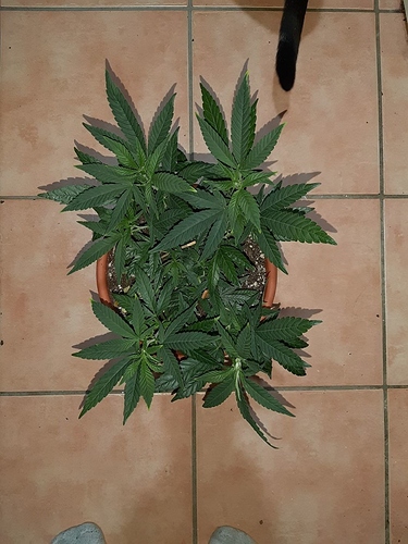 Growreport Bild 11