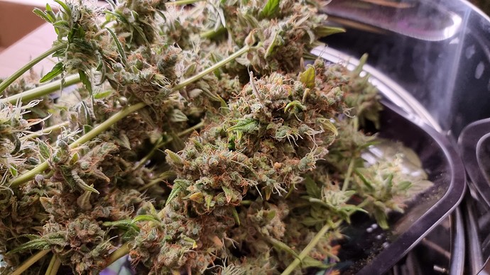 Growreport Bild 14