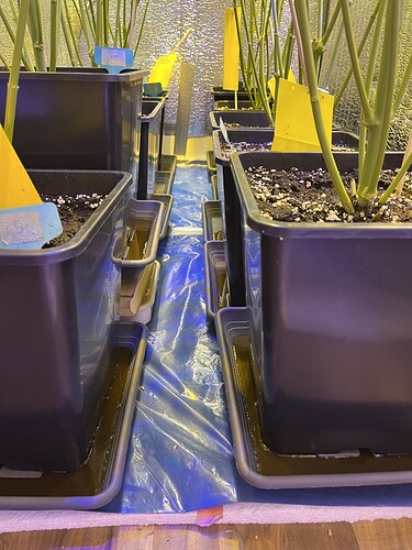 Growreport Bild 7