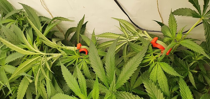 Growreport Bild 4