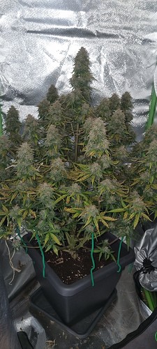 Growreport Bild 14