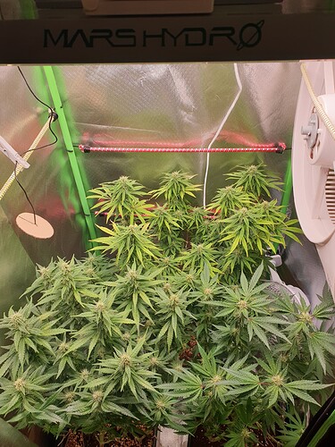 Growreport Bild 5