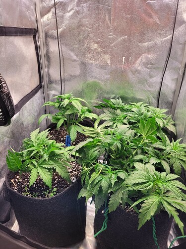Growreport Bild 11