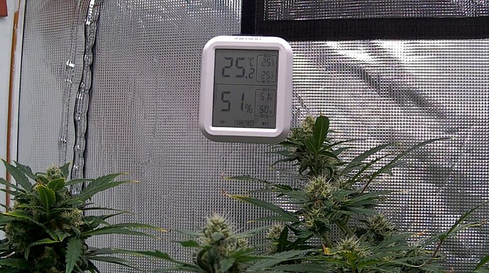Growreport Bild 1