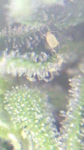 Growreport Bild 23