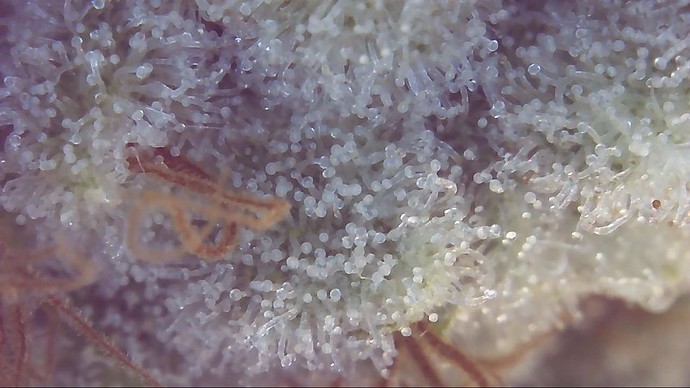 Growreport Bild 19