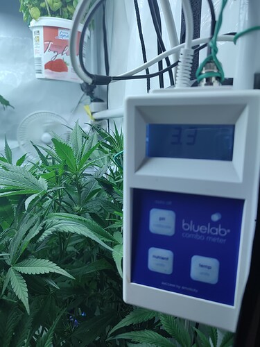 Growreport Bild 59