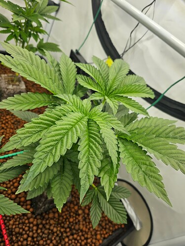Growreport Bild 4