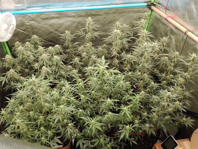 Growreport Bild 12