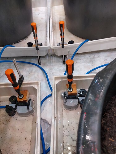 Growreport Bild 8