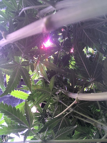 Growreport Bild 22