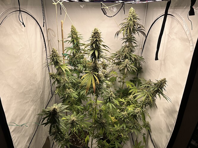 Growreport Bild 9