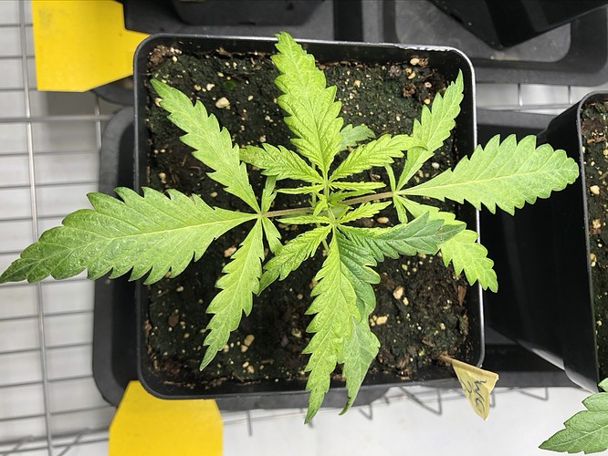 Growreport Bild 10