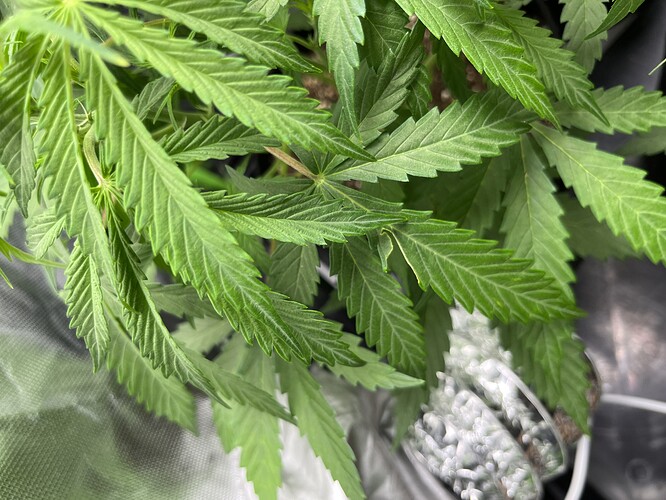 Growreport Bild 2