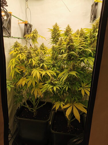 Growreport Bild 12