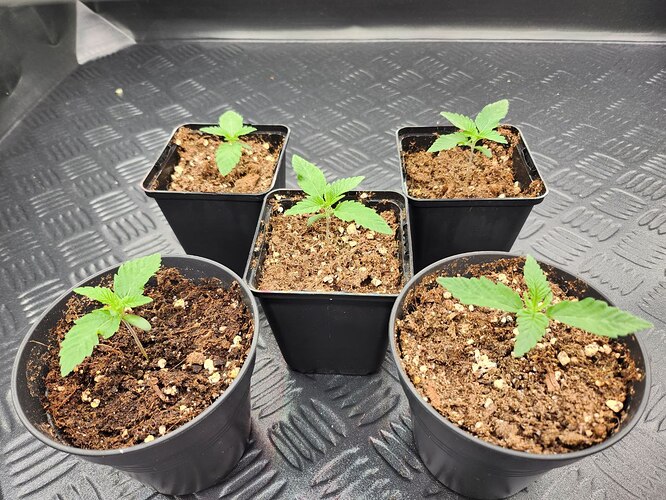 photo_2023-08-06_22-48-38