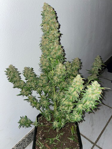 Growreport Bild 10