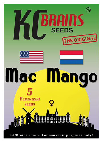Mac-Mango-feminized