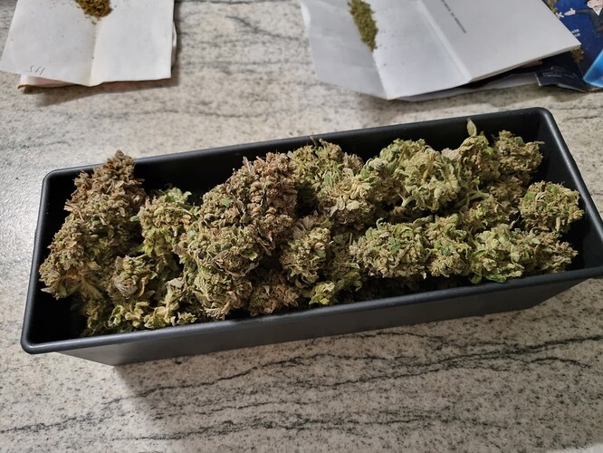 Growreport Bild 7
