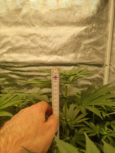 Growreport Bild 13