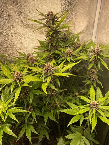 Growreport Bild 10