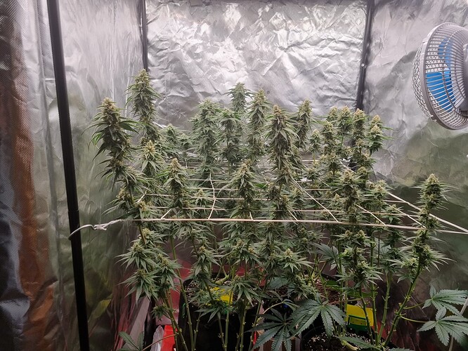 Growreport Bild 17