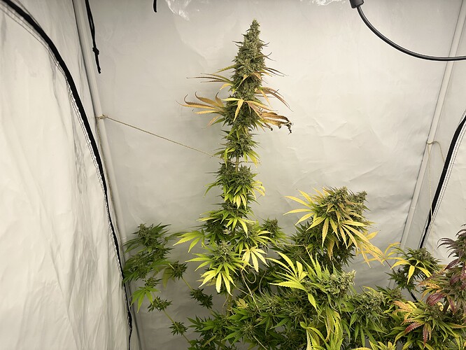 Growreport Bild 16