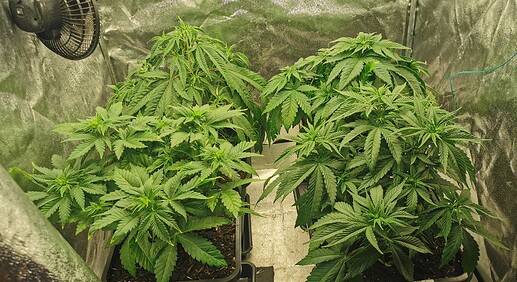 Growreport Bild 14