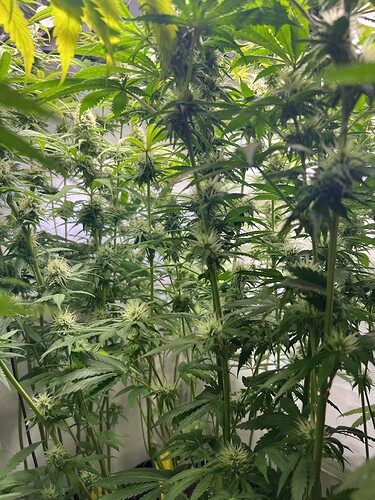 Growreport Bild 8