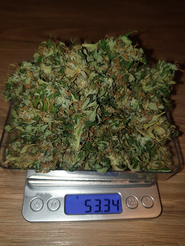 Growreport Bild 5