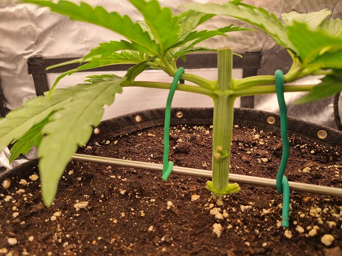 Growreport Bild 28