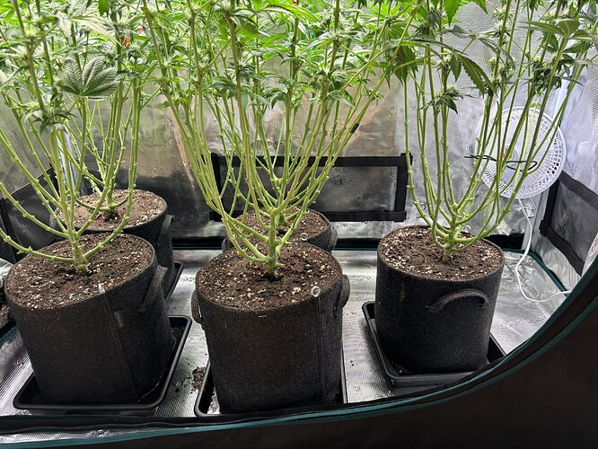 Growreport Bild 24