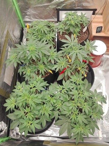 Growreport Bild 16