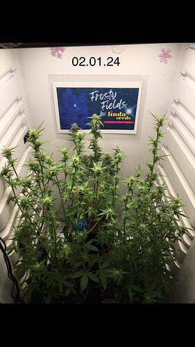 Growreport Bild 17