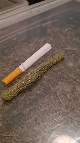 IMG-20240130-WA0004