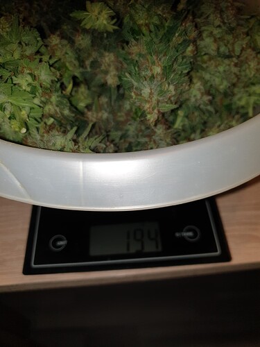Growreport Bild 3