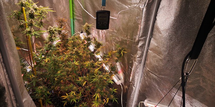 Growreport Bild 1
